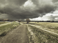 ... und dann kam Sturm und Regen  iPhone 8 Plus  - 29.Januar 2020 - : Landschaft, Weg, Felder, Wolken, Rheinwiesen, Viadukt