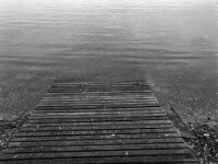 Wassersteg  Pentax 645N, SMC PENTAX-FA 645  2.8/45, KODAK TX 400@800  - 12.12.2025 -