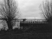 Der Domspatz liegt am Ufer  Pentax 645N, SMC PENTAX-FA 645  2.8/45, KODAK TX 400@800  - 12.12.2025 -