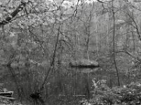 Waldteich  PENTAX K-3 Mark III Monochrome, HD PENTAX - DA* 2.8/16-50 ED PLM AW  - 22.11.2025 -