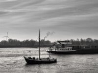 Begegnung auf dem Rhein  PENTAX K-3 Mark III Monochrome, HD PENTAX - DA* 2.8/16-50 ED PLM AW  - 22.11.2025 -