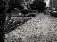 Gartenweg mit Stern  PENTAX K-3 Mark III Monochrome, HD PENTAX - DA* 2.8/ 11-18 ED DC AW  - 29.11.2025  -