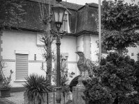 Vorbei am Adler im Dorf  PENTAX K-3 Mark III Monochrome, HD PENTAX - DA* 2.8/ 11-18 ED DC AW  - 29.11.2025  -