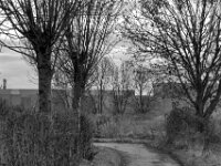 Feldweg zum Rheinufer  PENTAX K-3 Mark III Monochrome, HD PENTAX - D FA 2.8/24-70 ED SDM WR  -02.02.3036 -