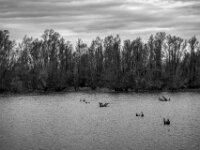 Seeblick  PENTAX K-3 Mark III Monochrome, HD PENTAX - D FA 2.8/24-70 ED SDM WR  -02.02.3036 -