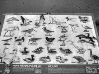 Infotafel  PENTAX K-3 Mark III Monochrome, HD PENTAX - D FA 2.8/24-70 ED SDM WR  -02.02.3036 -