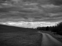 Hinterm Rheindeich  PENTAX K-3 Mark III Monochrome, HD PENTAX - D FA 2.8/24-70 ED SDM WR  -02.02.3036 -