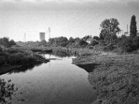 Alter Seitenarm des Rheins  CHINON 3001 Multiscan, Kentmere Pan 400  - 05.10.2026 -