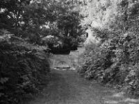 Der Brunnen im Park  CHINON 3001 Multiscan, Kentmere Pan 400  - 05.10.2026 -