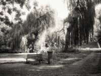 Sitzbank am Teich  CHINON 3001 Multiscan, Kentmere Pan 400  - 05.10.2026 -