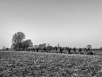 Kopfweiden  PENTAX K-3 Mark III Monochrome, HD PENTAX - DA* 2.8/ 11-18 ED DC AW  - 07.03.2026 -