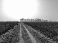 Fahrtbeginn Feldweg  PENTAX K-3 Mark III Monochrome, HD PENTAX - DA* 2.8/ 11-18 ED DC AW  - 07.03.2026 -