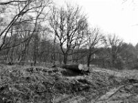 Es wird geholzt  PENTAX K-3 Mark III Monochrome, HD PENTAX - DA* 2.8/ 11-18 ED DC AW  - 07.03.2026 -