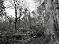 Groß und doch zerstört  PENTAX K-3 Mark III Monochrome, HD PENTAX - DA* 2.8/ 11-18 ED DC AW  - 07.03.2026 -