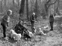 Gruppenbild  PENTAX K-3 Mark III Monochrome, HD PENTAX - DA* 2.8/ 11-18 ED DC AW  - 07.03.2026 -