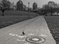 Taube und ehemalige Zolltürme  PENTAX K-3 Mark III Monochrome, HD PENTAX - DA* 2.8/ 11-18 ED DC AW  - 07.03.2026 -