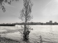 Frachtschiff  PENTAX K-3 Mark III Monochrome, HD PENTAX - DA* 2.8/ 11-18 ED DC AW  - 07.03.2026 -