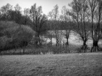 Der kleine See hinterm Rheindeich  PENTAX K-3 Mark III Monochrome, HD PENTAX - DA* 2.8/ 11-18 ED DC AW  - 07.03.2026 -