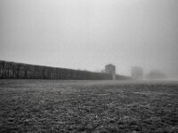 APX im Nebel  Pentax K-1, SMC PENTAX-FA 1.8/31 AL Limited  - 08.02.2026 -