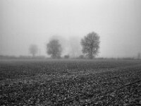 Nebellandschaft  Pentax K-1, SMC PENTAX-FA 1.8/31 AL Limited  - 08.02.2026 -