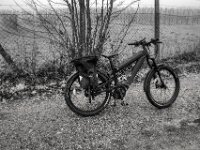 Stop beim Huhn  Pentax K-1, SMC PENTAX-FA 1.8/31 AL Limited  - 08.02.2026 -