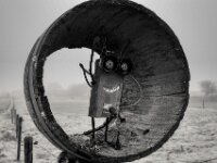 Hast dich nicht verändert  Pentax K-1, SMC PENTAX-FA 1.8/31 AL Limited  - 08.02.2026 -