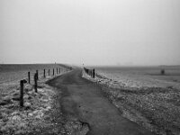 Weg am Deich  Pentax K-1, SMC PENTAX-FA 1.8/31 AL Limited  - 08.02.2026 -