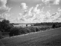 Rheinblick vom Deich  CHINON 3001 Multiscan, Kentmere Pan 400  - 10.09.2026 -