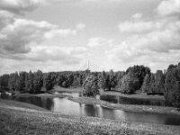 Lippenaturschutz mit Blick zur Rheinbrücke Wesel  CHINON 3001 Multiscan, Kentmere Pan 400  - 10.09.2026 -