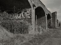Signatur  Pentax 67 II, SMC Takumar 4.5/75, KODAK TX400@200  - 12.03.2026 -