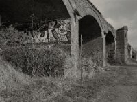 Viadukt Ruine  Pentax 67 II, SMC Takumar 4.5/75, KODAK TX400@200  - 12.03.2026 -