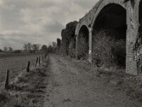 Eisenbahn Viadukt Ruine  Pentax 67 II, SMC Takumar 4.5/75, KODAK TX400@200  - 12.03.2026 -