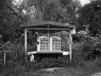 Honig  FUJI GS645S professional WIDE 60, Fuji Acros 100II  - 13.06.2026 -