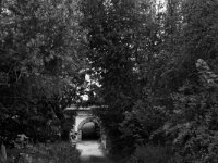 Hofeinfahrt  FUJI GS645S professional WIDE 60, Fuji Acros 100II  - 13.06.2026 -