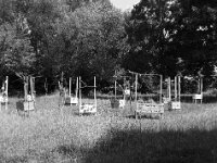 Kleine Gärten  FUJI GS645S professional WIDE 60, Fuji Acros 100II  - 13.06.2026 -