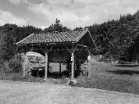 Garten  FUJI GS645S professional WIDE 60, Fuji Acros 100II  - 13.06.2026 -