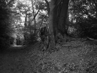 Testerberge  CHINON Auto 3001 Multi Auto Focus, ADOX CHS 100II  - 17.06.2026 -