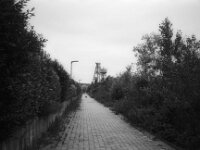Denkmalschacht Lohberg  CHINON Auto 3001 Multi Auto Focus, ADOX CHS 100II  - 17.06.2026 -