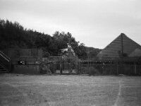 Donnie Darko Lohberg  CHINON Auto 3001 Multi Auto Focus, ADOX CHS 100II  - 17.06.2026 -