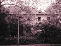 Kein Ort zum Wohnen  CHINON Auto 3001 Multi Auto Focus, ADOX CHS 100II  - 17.06.2026 -