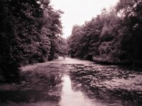 Parkteich  CHINON Auto 3001 Multi Auto Focus, ADOX CHS 100II  - 17.06.2026 -
