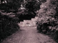 Der alte Brunnen im Park  CHINON Auto 3001 Multi Auto Focus, ADOX CHS 100II  - 17.06.2026 -