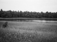 Der kleine See verliert Wasser  CHINON Auto 3001 Multi Auto Focus, ADOX CHS 100II  - 17.06.2026 -