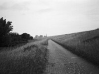Heimwärts am Deich entlang  CHINON Auto 3001 Multi Auto Focus, ADOX CHS 100II  - 17.06.2026 -