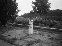 Träumer  CHINON Auto 3001 Multi Auto Focus, ADOX CHS 100II  - 17.06.2026 -