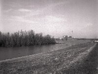 Bäume im Wasser  Fuji GS 645 S prof. WDE 60, KODAK TRI-X 400  - 15.02.2026 -