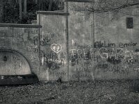 Alter Brunnen und aktuelle Kommentare  Fuji GW 690 III, KODAK TRI-X 400  - 22.01.2026