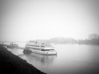 Rees; Ausflugsschiffe im Nebel  Fuji GW 690 III, KODAK TRI-X 400  - 22.01.2026