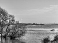 Der Rhein  PENTAX K-3 Mark III Monochrome, SMC PENTAX-FA 1.9/43 Limited  - 26.02.2026 -