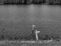Pegelstand am kleinen See  PENTAX K-3 Mark III Monochrome, SMC PENTAX-FA 1.9/43 Limited  - 26.02.2026 -